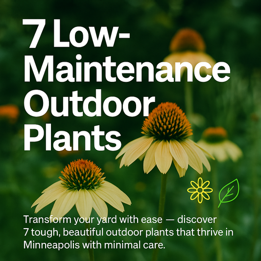 Expert Guide: 7 Low-Maintenance Plants That Reign in Minneapolis Gardens